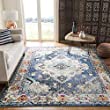 Safavieh Vintage Bohemian Navy Area Rug, 8' x 10'